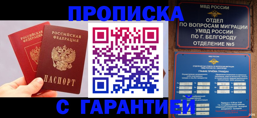 прописка 2025 в Тайге